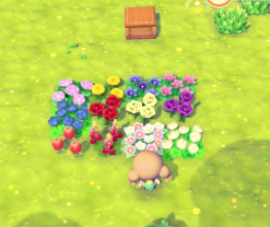 ぽこあポケモン ゆめしまの花完全攻略ガイド｜種類一覧・効率集め方・12種類ミッションを最速でクリアする方法