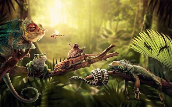 『Desktop Reptiles』完全攻略ガイド：デスクトップで始める、癒しの爬虫類ライフ